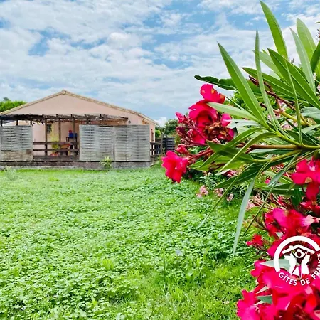 Le Cosy Occitan Chaleureuse Independante Baignoire Terrasse Jardin Holiday home *