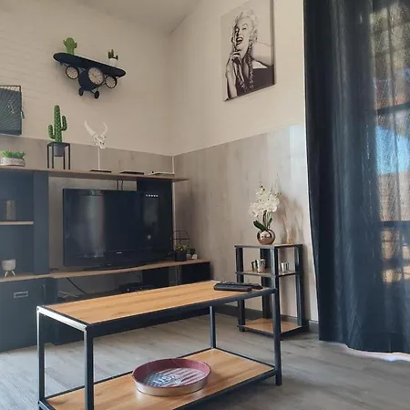 Le Cosy Occitan Chaleureuse Independante Baignoire Terrasse Jardin * Carcassone