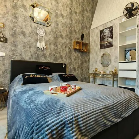 Le Cosy Occitan Chaleureuse Independante Baignoire Terrasse Jardin * Carcassone