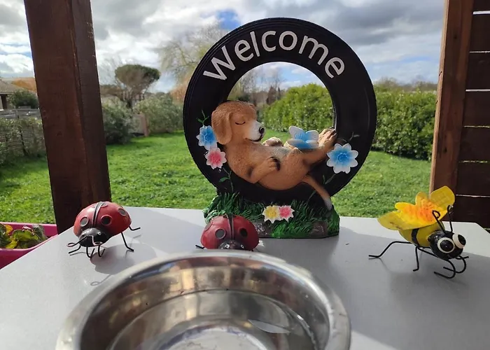 Hébergement de vacances Le Cosy Occitan Chaleureuse Indépendante Baignoire Terrasse Jardin Carcassonne