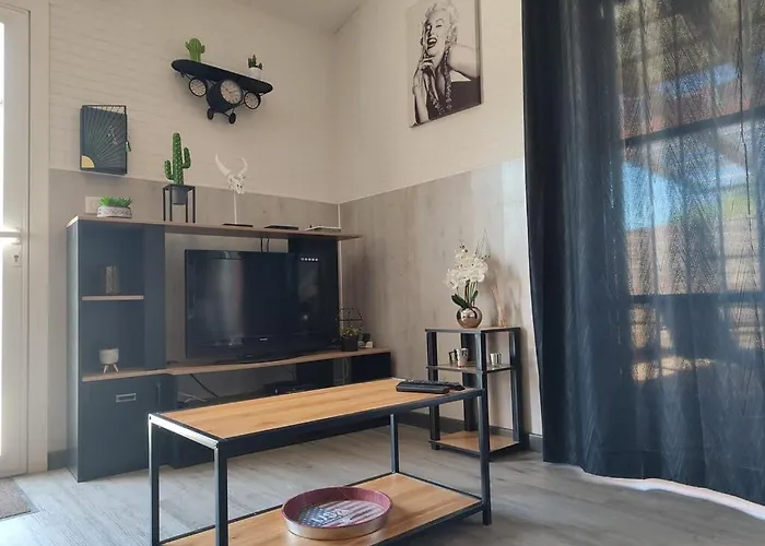 Le Cosy Occitan Chaleureuse Indépendante Baignoire Terrasse Jardin * Carcassonne